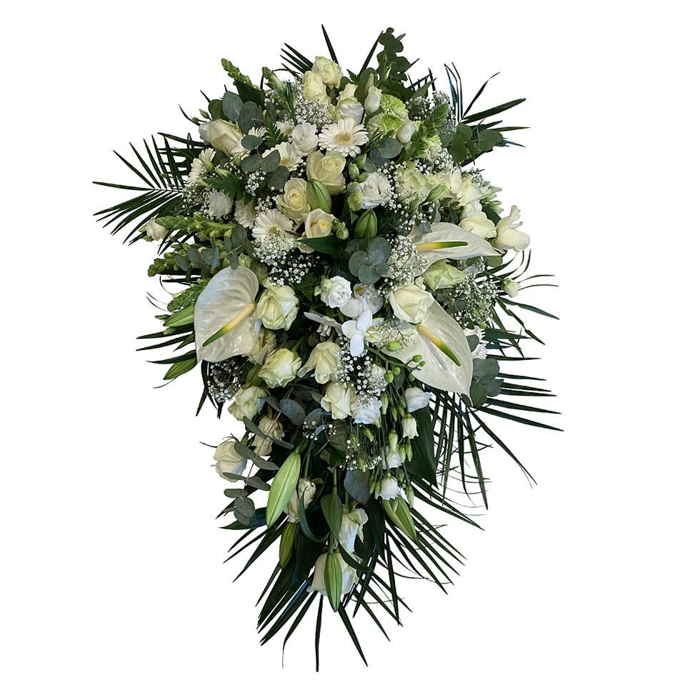 IMG_0858.jpg Elegant - Afbeelding 1